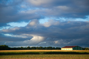Vidange fosse septique Lagny-sur-Marne